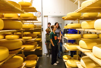 240624 Schiedamse scouts kaas maken